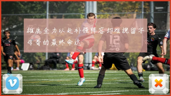 雄鹿全力以赴补强阵容却难挽留字母哥的最终命运