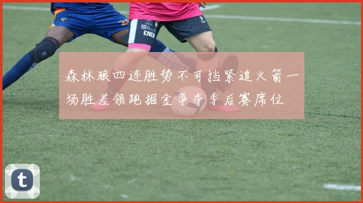 森林狼四连胜势不可挡紧追火箭一场胜差领跑掘金争夺季后赛席位