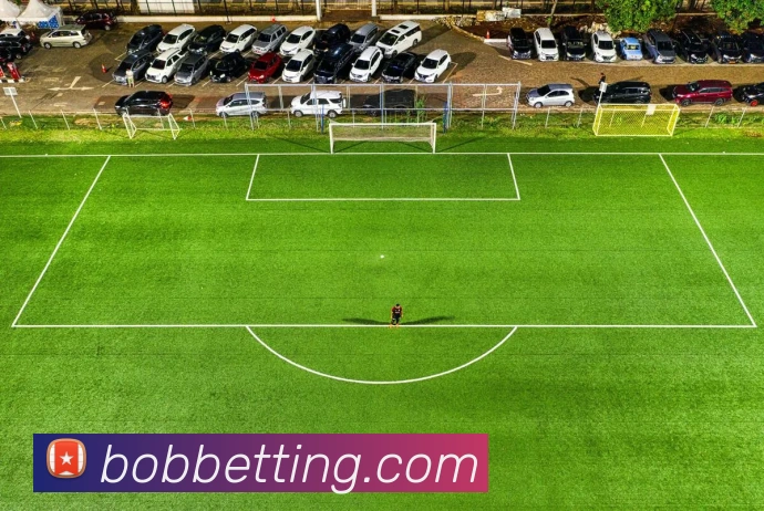 BOB体育平台生态图