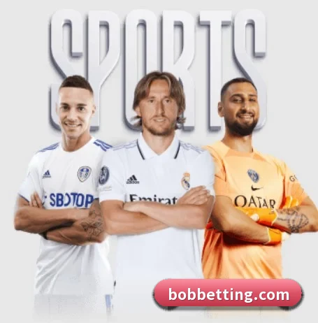 BOB体育 APP 界面